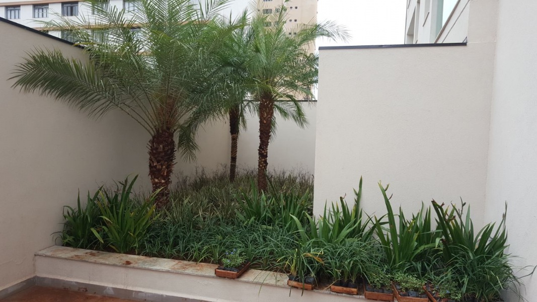 jardinagem 1